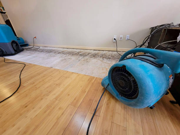 Professional Water Damage Repair technician working in Santa Rosa, CA